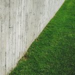 Houten schutting naast een strak gemaaid gazon in de tuin
