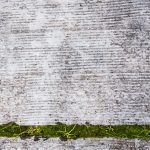 Groene aanslag en mos tussen de voegen van terrastegels